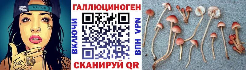 Псилоцибиновые грибы Psilocybe  сайты даркнета наркотические препараты  Смоленск 